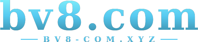 bv8.com logo